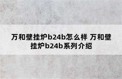 万和壁挂炉b24b怎么样 万和壁挂炉b24b系列介绍